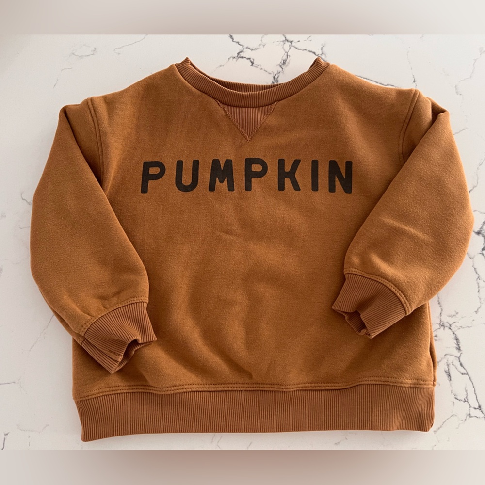 Little Co. Pumpkin Sweatshirt